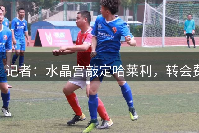 记者：水晶宫敲定哈莱利，转会费约2500万欧元